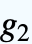 g_(2)