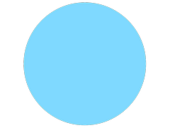 Disk