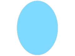 Disk