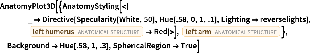Anatomystyling Wolfram言語ドキュメント