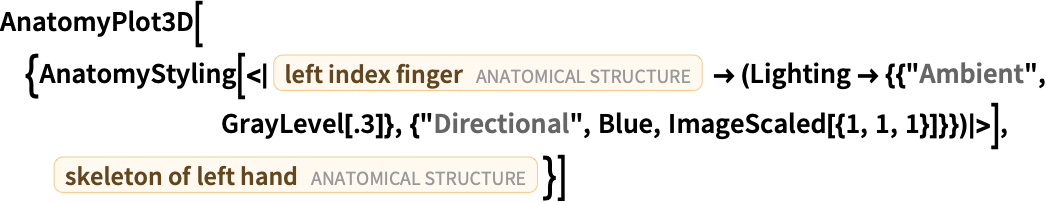 Anatomystyling Wolfram言語ドキュメント