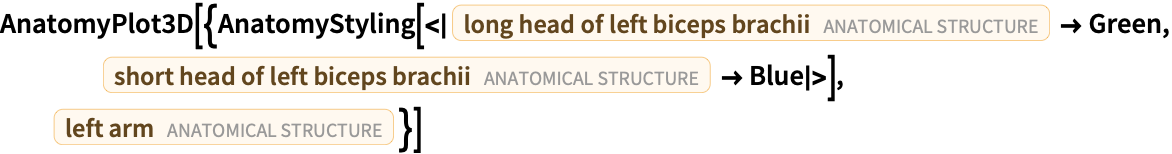 Anatomystyling Wolfram言語ドキュメント