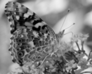 ColorConvert: 画像の色空間を変更する—Wolfram Documentation