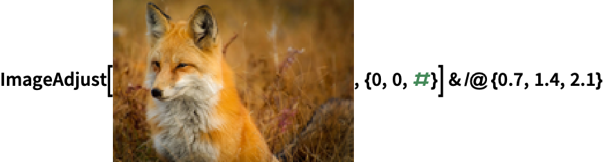 Imageadjust Wolfram言語ドキュメント