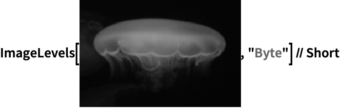 Imagelevels Wolfram言語ドキュメント