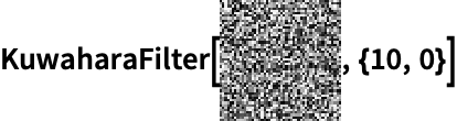 KuwaharaFilter—Wolfram Documentation