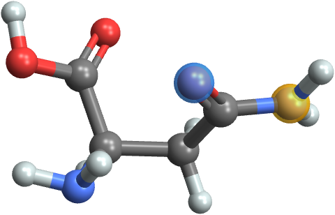 【バラ売り可】帝京大学 薬学部 薬学科　教科書　分子構造模型　関数電卓 バラ売り可】帝京大学 薬学部 薬学科 教科書 分子構造模型 関数電卓