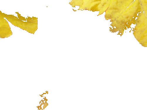 RemoveBackgroundu2014Wolfram言語ドキュメント