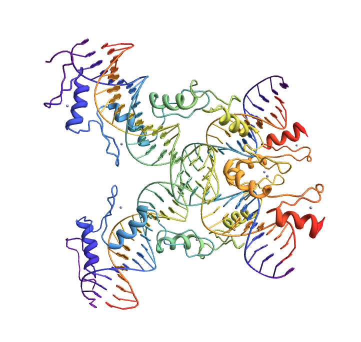 Pdb Protein Data