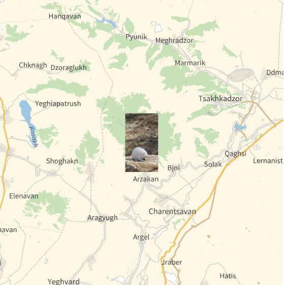 girnar map