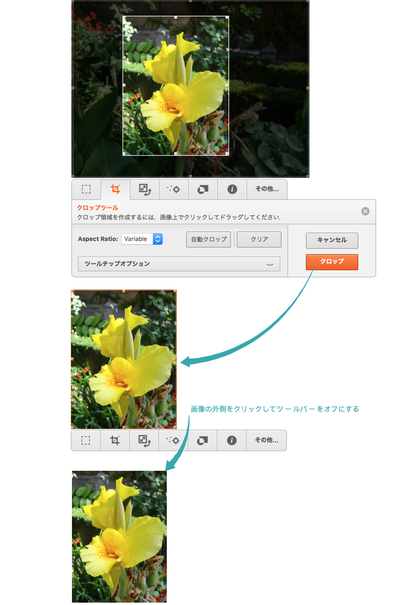 2d画像のトリミングを行う Wolfram言語ドキュメント