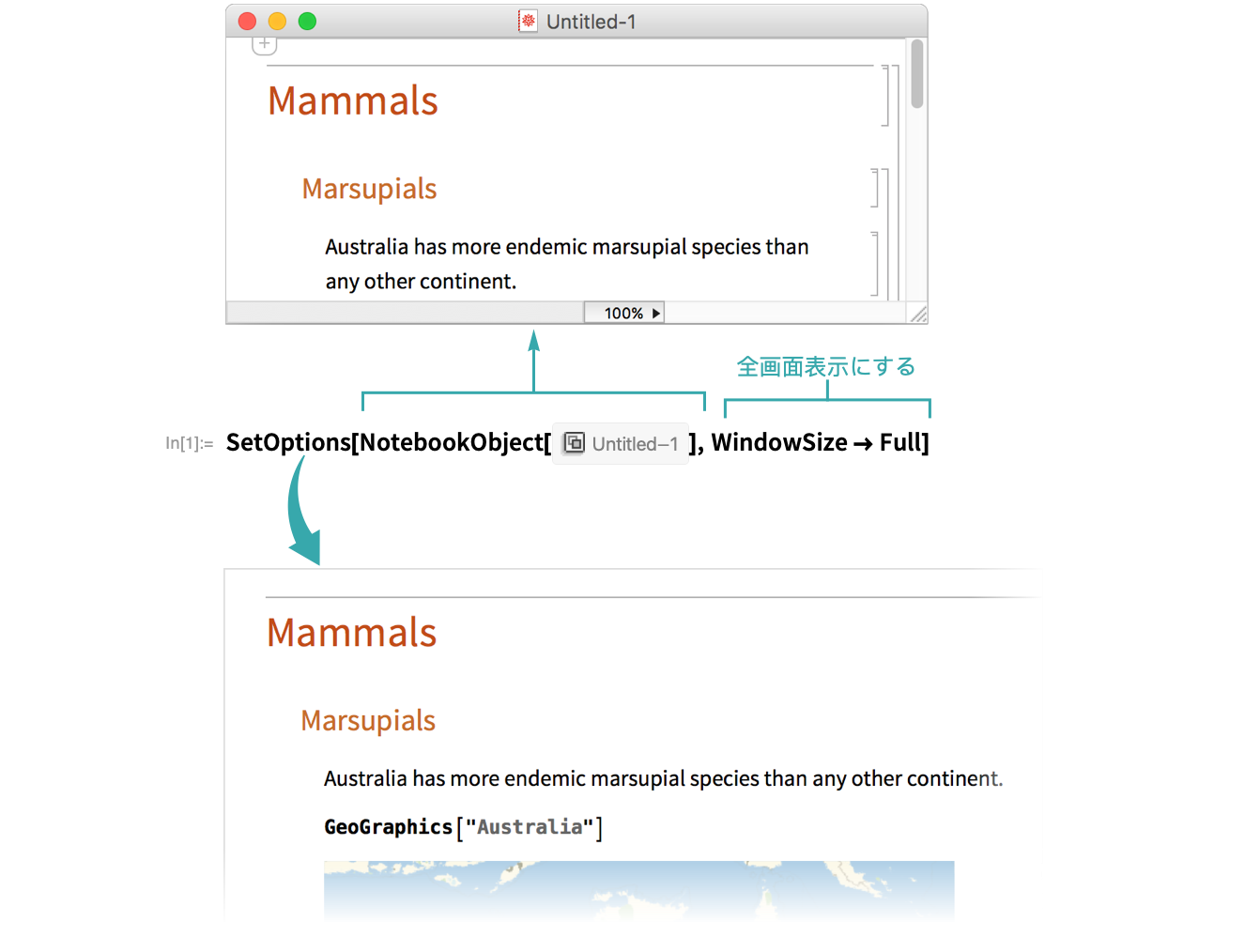 ノートブックを画面全体に表示する Wolfram言語ドキュメント