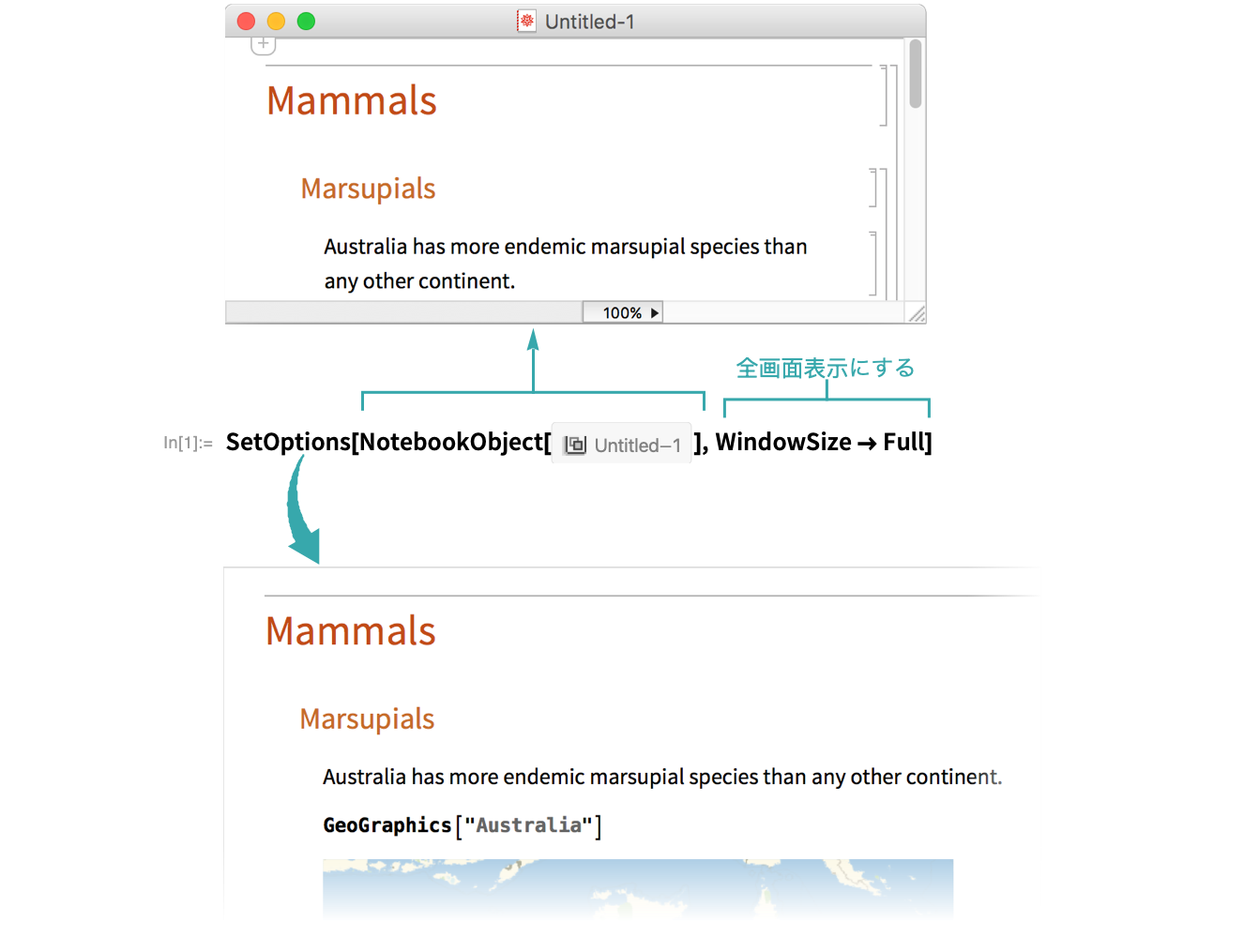 ノートブックを画面全体に表示する Wolfram言語ドキュメント