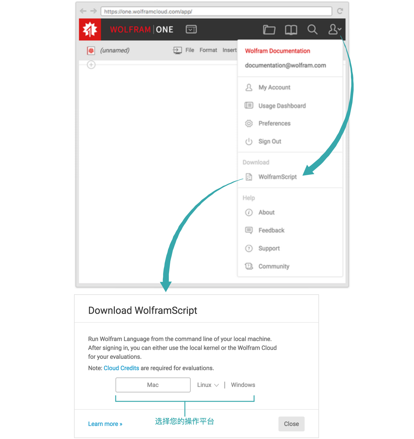 安装wolframscript