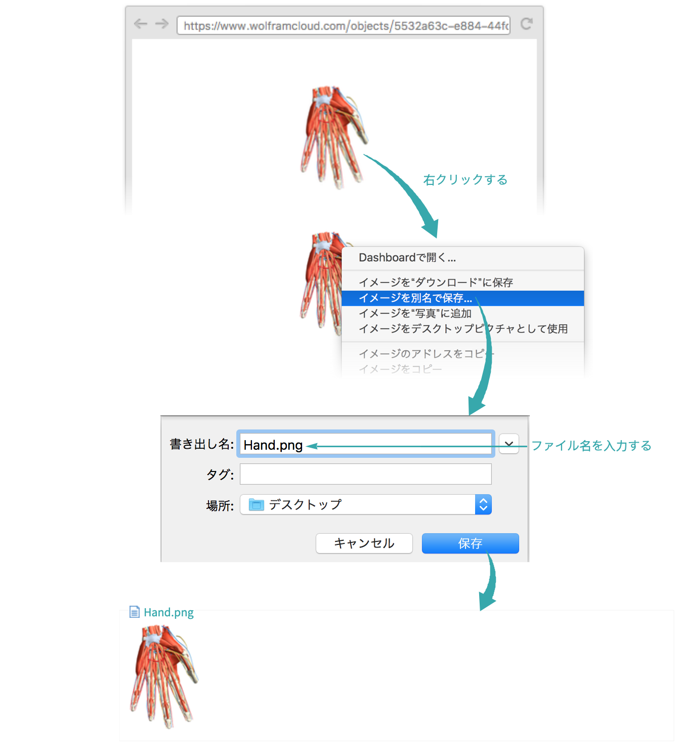 ダウンロード可能なファイルをクラウドに置く Wolfram言語ドキュメント