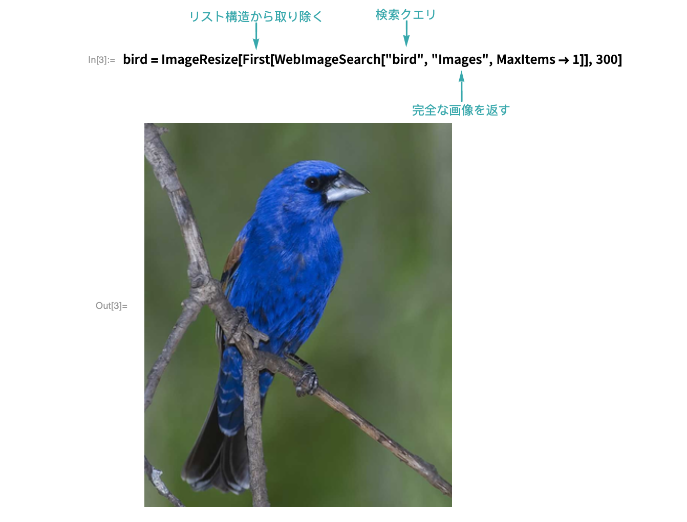 Api関数で画像を使う Wolfram言語ドキュメント