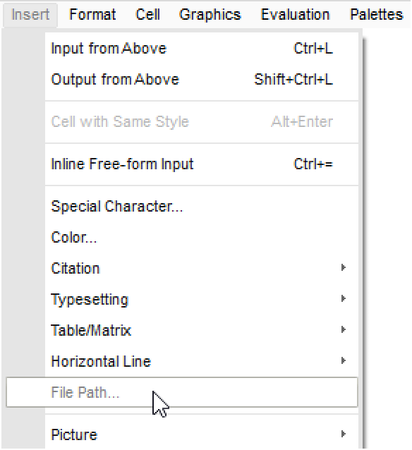 insert-a-file-path-wolfram-language-documentation