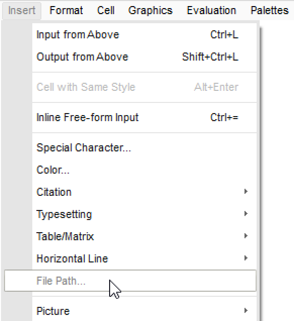 Insert a File Path—Wolfram Documentation